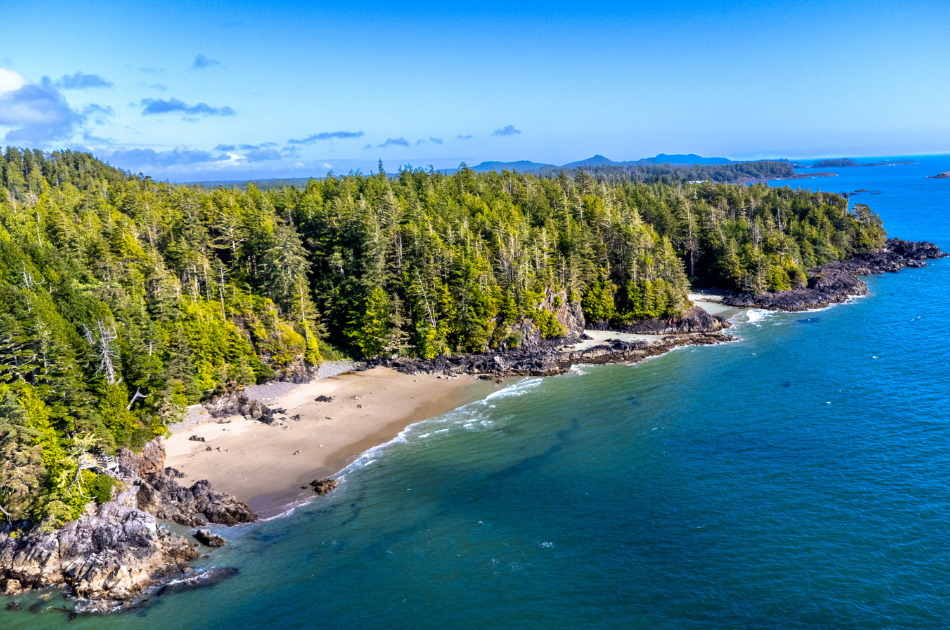 Clayoquot Reserve