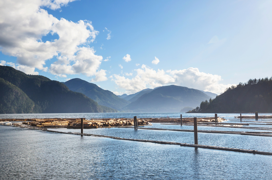 Islands in Canada in British Columbia