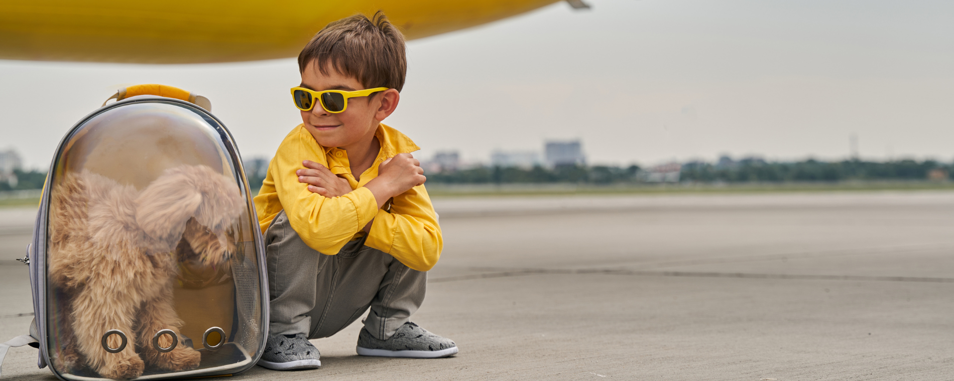 flying with pets, dog in carry case and child on runway next to plane