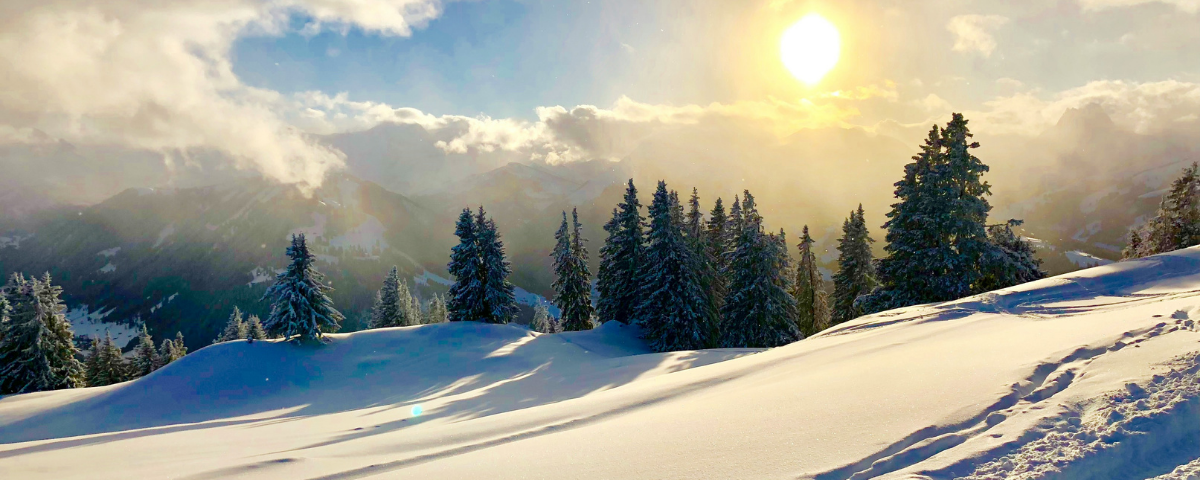 mountain in winter covered in snow with trees in the background