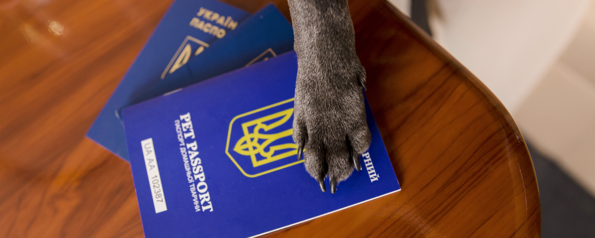 pet travel regulations, dogs paw on pet passport